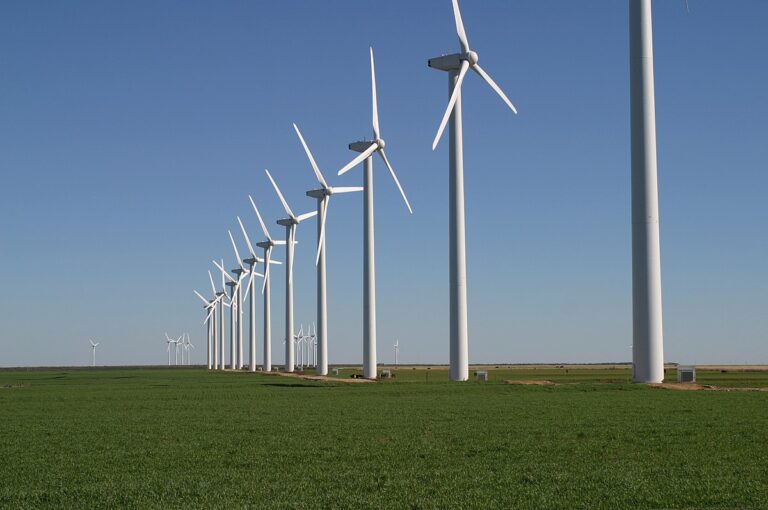 US Wind Power 2024: Capacity, Growth, and Future Potential