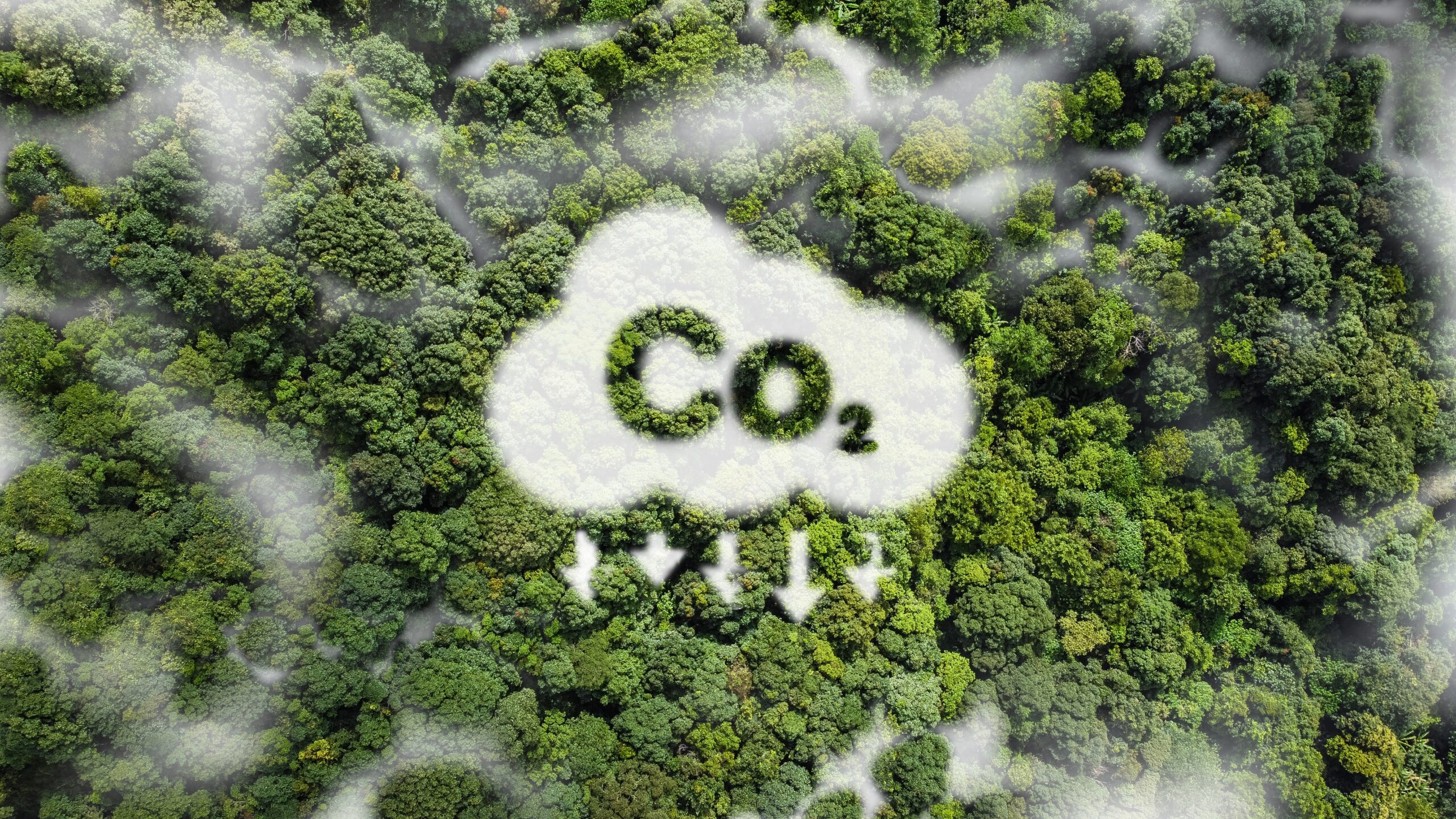 Reduce Greenhouse Gas Emissions A Business Guide